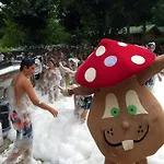 Camping Bassegoda Park 酒店 *