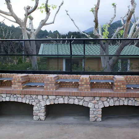 Camping Bassegoda Park *